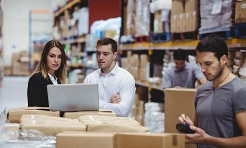 Staff inspecting stock